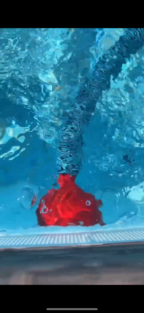 Above Ground Pool vacuum adapter