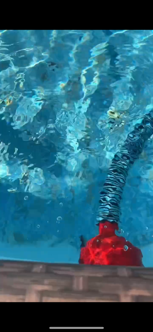 Above Ground Pool vacuum adapter
